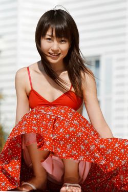 电视剧南来北往演员表